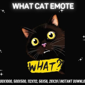¿Qué es el emoticón de gato? / emoticón de Twitch / emoticón de patada / emoticón de Discord / emoticón de YouTube / emoticón estático / emoticón de transmisor / Descarga instantánea de PNG