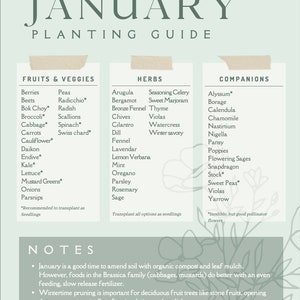 May include: A green and white illustrated guide for planting fruits, vegetables, and herbs in January. The guide lists different types of plants to grow, including berries, beets, peas, radicchio, bok choy, broccoli, cabbage, spinach, carrots, Swiss chard, arugula, seasoning celery, bergamot, sweet marjoram, bronze fennel, thyme, chives, violas, watercress, cilantro, dill, fennel, lavender, lemon verbena, mint, oregano, parsley, rosemary, and sage. The guide also includes a list of companion plants, such as alyssum, borage, calendula, chamomile, nasturtium, nigella, pansy, poppies, flowering sages, snapdragon, stock, sweet peas, violas, and yarrow.