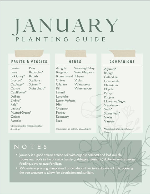 Yearly Planting Guide Monthly Gardening Guide for Southern Etsy