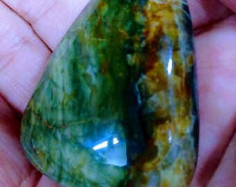CA Petrified Wood 238ct Palm Stone / Freeform