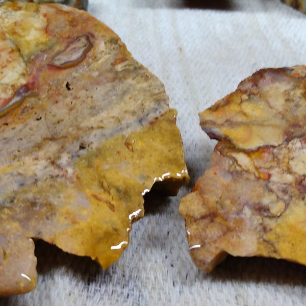 Jasper cut in two halves. Beautiful colors with mini crystal cavern inclusions