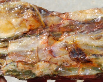 Petrified wood from California,very hard to find this type of quality