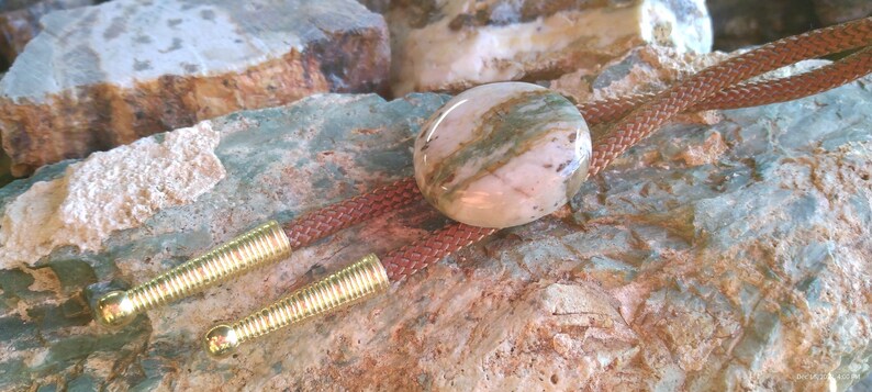 May include: A brown leather bolo tie with a gold-toned metal tip and a round, pink and green agate stone pendant.