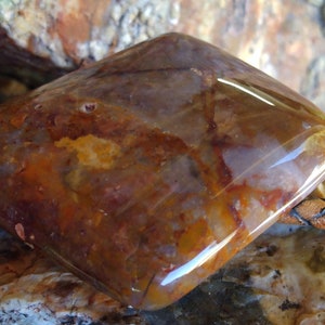 May include: A brown and orange agate stone bolo tie with a leather cord. The stone is polished and has a smooth, shiny surface.