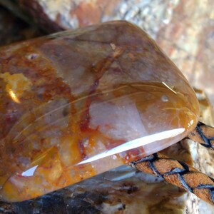May include: A bolo tie with a large, polished, multi-colored agate stone. The stone has shades of brown, orange, and white. The bolo tie is made of brown leather with a braided design.