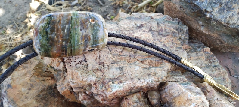 May include: A bolo tie with a large, green, brown, and white agate stone pendant. The bolo tie is made of brown leather cord with gold-colored tips.