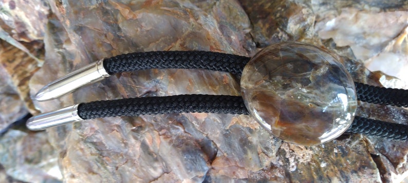 Pu&ograve; includere: Un cravattino bolo con un cordoncino nero e punte a proiettile argentate. Il cravattino bolo presenta una pietra rotonda, marrone, simile all'agata con un motivo a spirale.
