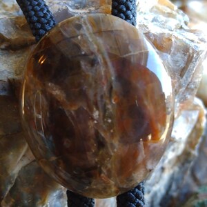 Pu&ograve; includere: Un bolo tie in agata marrone e oro con un cordoncino nero. L'agata &egrave; lucidata e presenta un motivo naturale.