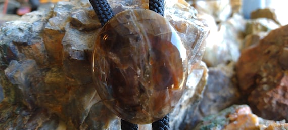 Bolo-bola necktie / necklace  California desert petrified wood cabochon