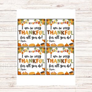 Pu&ograve; includere: Quattro etichette regalo a tema Ringraziamento con il messaggio "I am so very THANKFUL for all you do!" in vari colori. Ogni etichetta presenta grafiche a tema autunnale, tra cui zucche, torte e tazze di caff&egrave;, con uno striscione in alto.