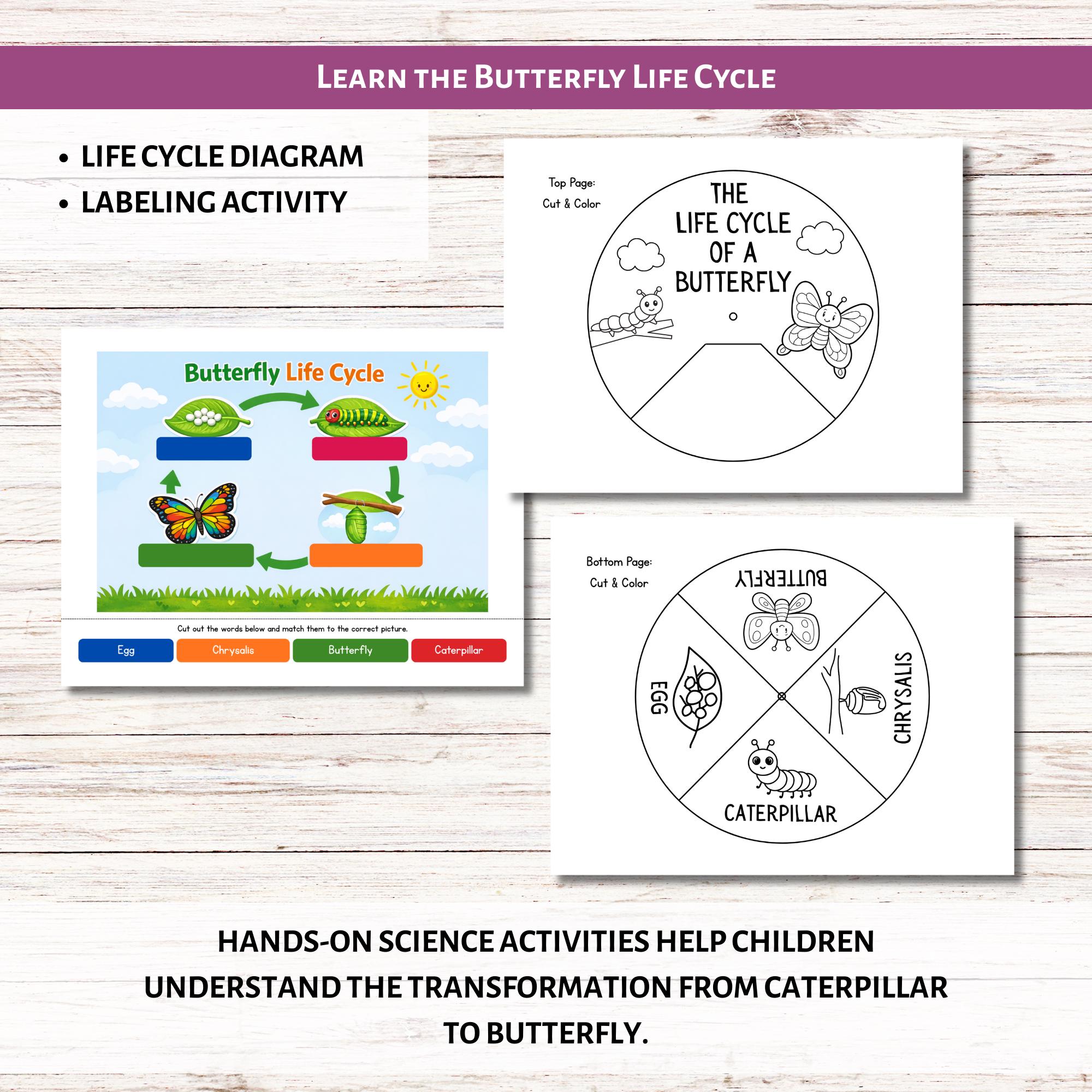 The Very Hungry Caterpillar Activity Bundle | Butterfly Life Cycle ...