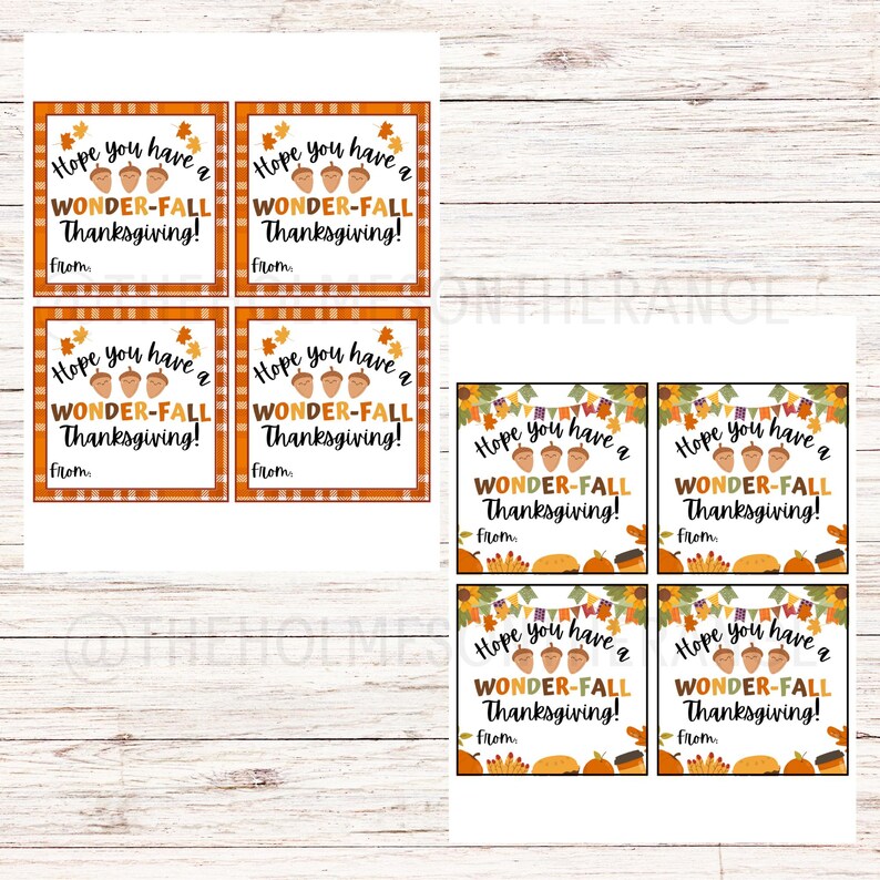 Pu&ograve; includere: Tag di ringraziamento con un bordo a scacchi arancione e bianco. I tag recitano "Hope you have a WONDER-FALL Thanksgiving!" con grafiche di ghiande e foglie. Ogni tag ha uno spazio per scrivere "From:"