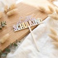 Cake Topper für den Schulanfang - Schulkind 2026 - Einschulung - Pastellfarben in Farben des Regenbogens - personalisiert mit Namen product logo