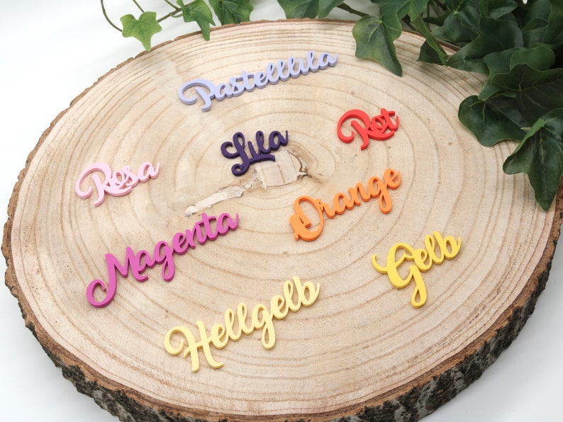 Familienschild mit Haus personalisiert Türschild für Familien viele Farben 25 cm Bild 8