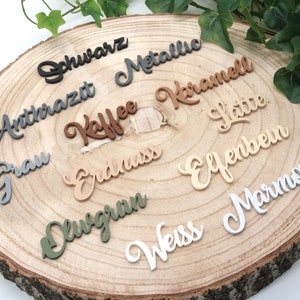 Familienschild mit Haus personalisiert Türschild für Familien viele Farben 25 cm Bild 5