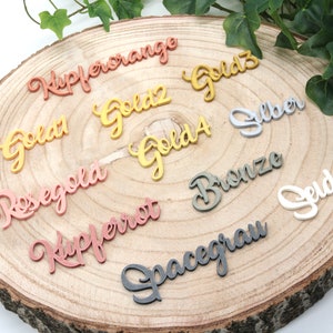 Familienschild mit Haus personalisiert Türschild für Familien viele Farben 25 cm Bild 6