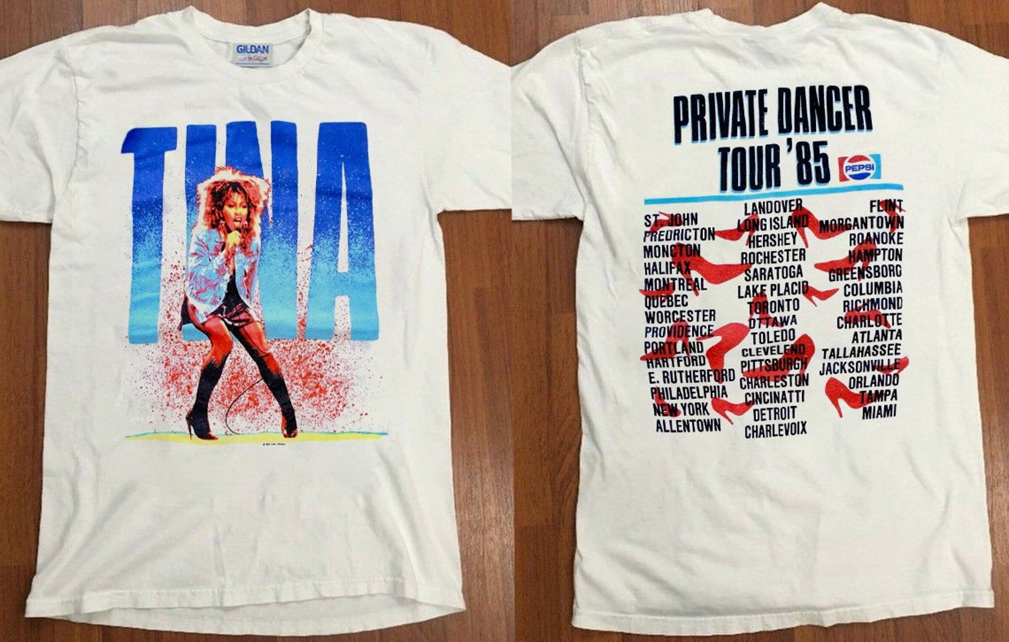 Vintage Tina Turner Private Dancer Tour 1985 T-Shirt, Tina Turner T-Shirt