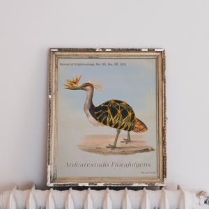 Arte mural con collage digital surrealista, póster digital vintage con animales para imprimir, criptozoología, fantasía imaginaria, diseño único, arte contemporáneo