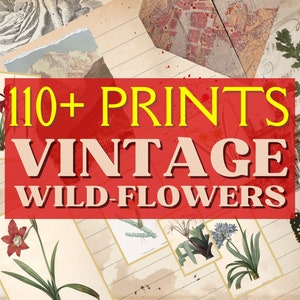 Vintage Flower Print Set for Wall Art, Art Journal, Junk Journal, Scrapbooking, Trendy Botanical Floral Art,