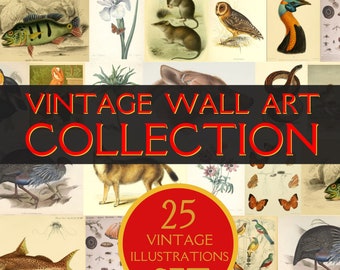Vintage Animal & Botanical Illustration Set, Art Deco Prints (Digital Download)
