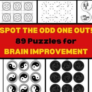 Spot the Odd One Out Puzzles for Adults | Left-Right Symmetry Chirality Logic Teasers | Memory and Brain Improvement for Middle Age & Beyond