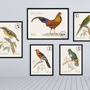 Pósteres antiguos, arte mural de galería, colección 5 en 1, sello postal de aves, diseños únicos, descarga digital JPEG de alta resolución, listo para imprimir