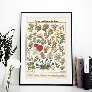 May include: A framed print titled "Flowers of Dutch Gardens" displaying a botanical illustration of various flowers. The print features a range of colourful blooms, including red, yellow, blue, and purple flowers, with detailed botanical labels.