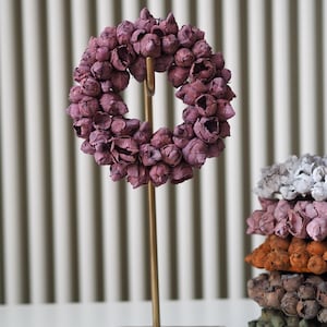 Handmade decorative dried fruit wreath 20 cm, perfect for door, wall or table decoration