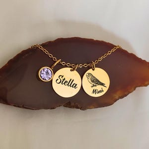 Parakeet Name Necklace, Custom Budgie Jewelry, Bird Mom Pendant, Personalized Pet Parrot Charm, Exotic Bird Lover Gift,Name Engraved Jewelry