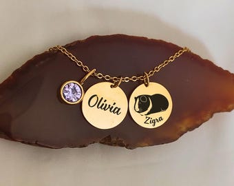 Guinea Pig Name Necklace, Name Birthstone Pendant, Pet Piggy Charm With Name, Pig Mom Nameplate, Custom Name Engraved Jewelry