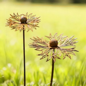 May include: Two rusty metal flower sculptures with intricate, spiky petal designs and spherical centers. The flowers are on long stems, set against a blurred green background of grass and foliage. The flowers are approximately 50 cm tall.