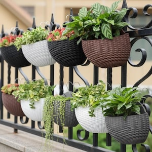 May include: A collection of hanging woven planters in various colors, including black, white, gray, and brown, filled with vibrant green plants and succulents. The planters are attached to a black metal fence.