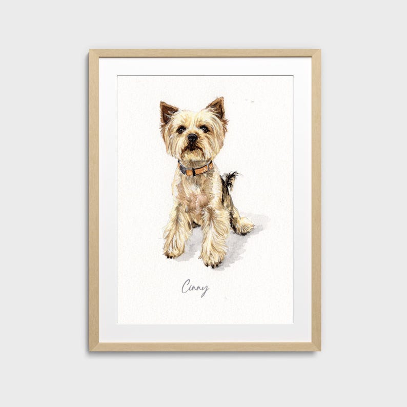 May include: Watercolor portrait of a Yorkshire Terrier dog in a wooden frame. The dog has tan and gray fur, a brown collar, and the name "Cinny" written below. The artwork is set against a white background.