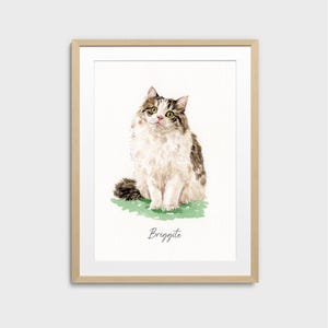 May include: Watercolor painting of a fluffy cat with brown and white fur, green eyes, and a long tail. The cat is sitting on a patch of green grass. The name "Brigitte" is written below the cat.