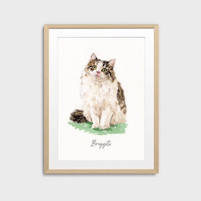 May include: Watercolor painting of a fluffy cat with brown and white fur, green eyes, and a long tail. The cat is sitting on a patch of green grass. The name "Brigitte" is written below the cat.