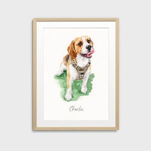May include: Watercolor painting of a beagle dog with brown and white fur, wearing a harness, and sticking out its tongue. The dog is standing on green grass. The name "Charlie" is written below the dog.