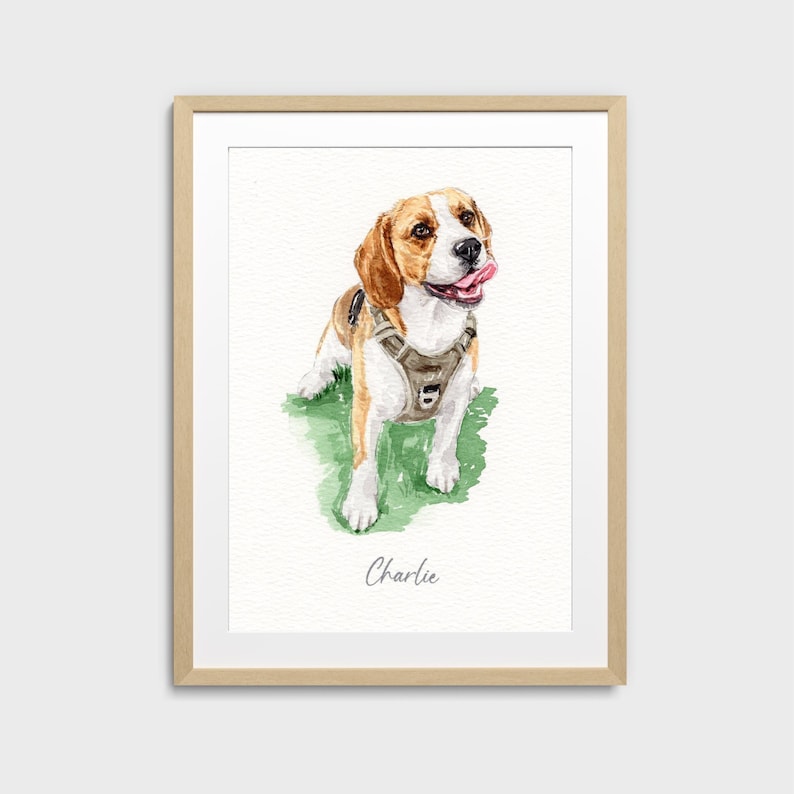 May include: Watercolor painting of a beagle dog with brown and white fur, wearing a harness, and sticking out its tongue. The dog is standing on green grass. The name "Charlie" is written below the dog.