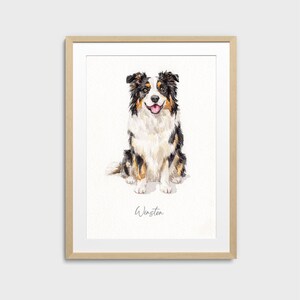 May include: Watercolor painting of a sitting Australian Shepherd dog with black, white, and brown fur. The dog has a happy expression with its tongue out. The dog's name, "Winston", is written in cursive below the dog. The artwork is framed in a light wood frame.