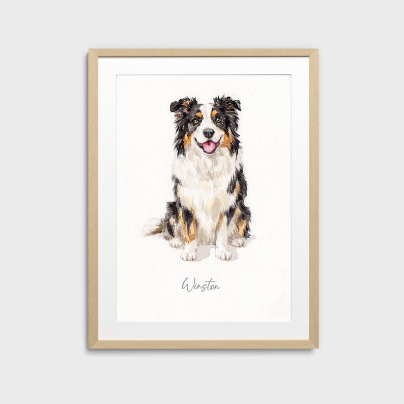 May include: Watercolor painting of a sitting Australian Shepherd dog with black, white, and brown fur. The dog has a happy expression with its tongue out. The dog's name, "Winston", is written in cursive below the dog. The artwork is framed in a light wood frame.