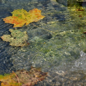 Fine Art Photography, GARDEN POND -Waterscape in the sunlight, nature photography at the flowing water - Limited Edition