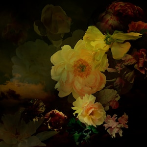 Wall Art Print, PFINGSTROSEN floral composition, photo art for the home - Limited Edition