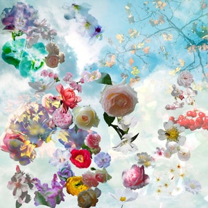 Fine Art Print, EXPRESSION OF JOY - A composition of the splendor of flowers, photo art