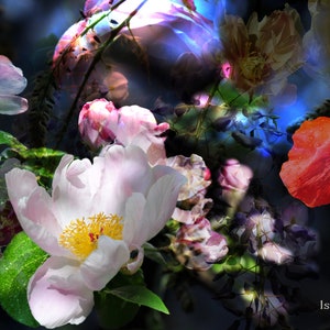 Fine Art Photography - YOUR FLOWER GARDEN, Art print for home - Limited edition