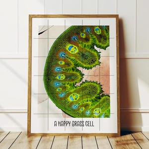 Może przedstawiać: Zbliżenie na zieloną i żółtą komórkę trawy pod mikroskopem. Obrazek jest podpisany "A Happy Grass Cell".