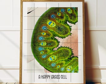 Puede incluir: Un primer plano de una célula de hierba verde y amarilla bajo un microscopio. La imagen está etiquetada como "A Happy Grass Cell".