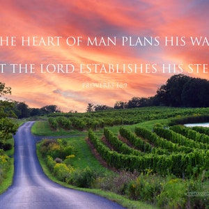 May include: A winding road leads through a vineyard with a bright pink and orange sunset in the background. The text "THE HEART OF MAN PLANS HIS WAY, BUT THE LORD ESTABLISHES HIS STEPS.. PROVERBS 16:9" is superimposed on the image.