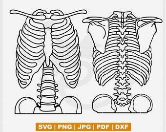 Front and back Ribcage SVG, Rib cage outline, Front Ribcage, Chest Skeleton SVG, Ribcage Cut file svg, Front bones svg, backbone svg