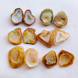 May include: A collection of geode slices with a variety of colors, including white, yellow, and brown. The geodes have a crystalline interior and a rough, textured exterior. The arrangement showcases the natural beauty of the mineral formations.