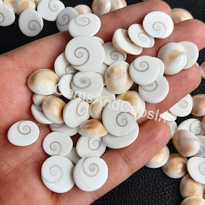 May include: A collection of white and cream-coloured shell cabochons with a spiral pattern. The cabochons are smooth and polished, and they are arranged in a pile on a hand.