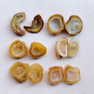 May include: A collection of eight geode specimens, showcasing a variety of shapes and colors. The geodes feature a crystalline interior, with hues of white, yellow, and brown. The outer shells have a rough, textured appearance.